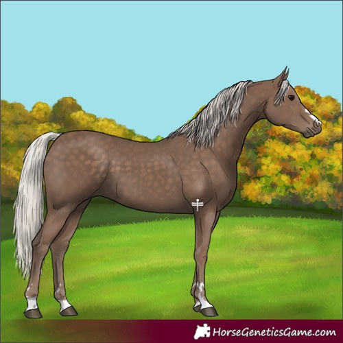 Horse Color:Silver Black 