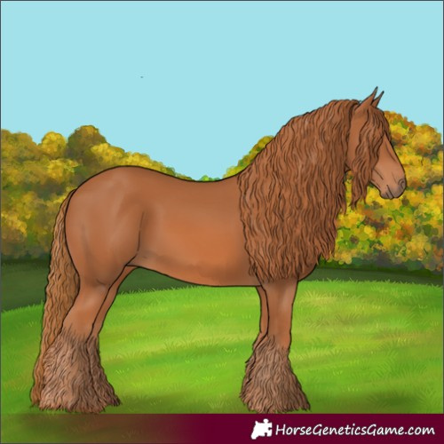 Horse Color:Chestnut 