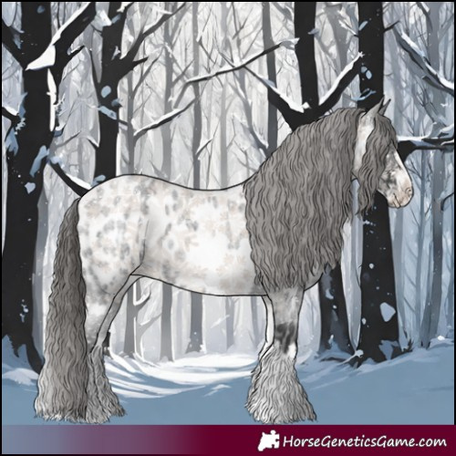 Horse Color:White Spotted Blue Roan Splash Frame Near Leopard 