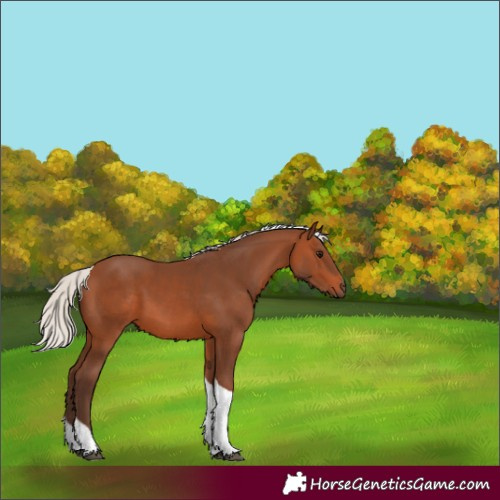 Horse Color:Silver Brown Tobiano 