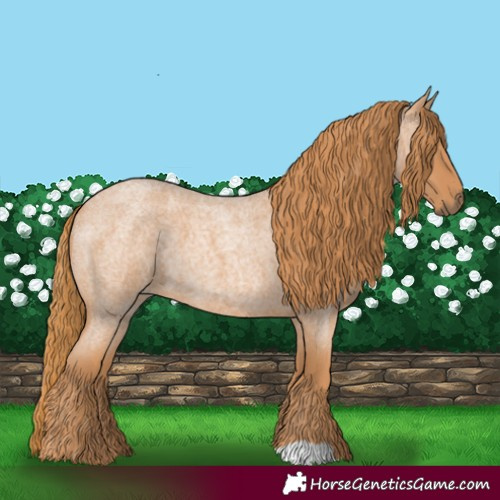 Horse Color:Red Roan 