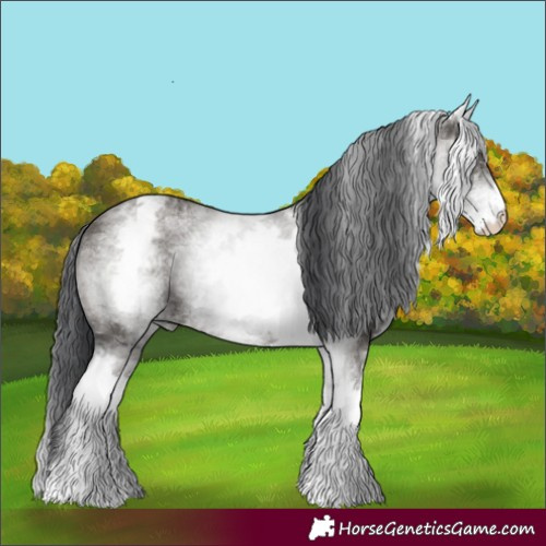 Horse Color:White Spotted Grullo Rabicano 