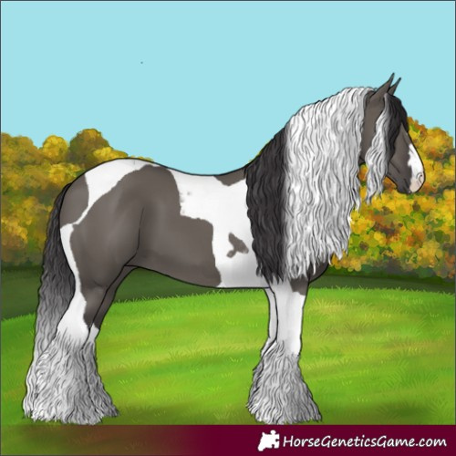 Horse Color:Smoky Grullo Tobiano