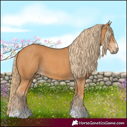 Horse Color:Chestnut and Chestnut