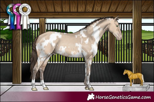 Horse Color:White Spotted Amber Champagne Dun 