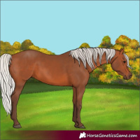 Horse Color:Silver Brown 