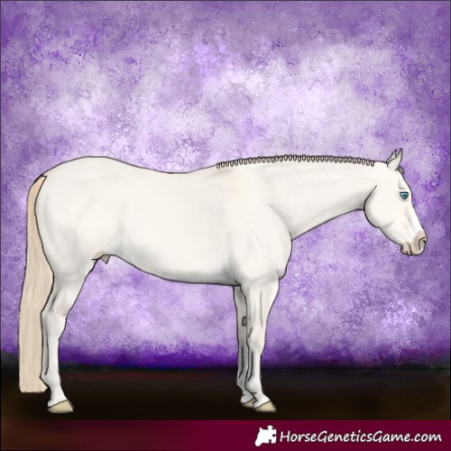 Horse Color:Perlino Dun Splash