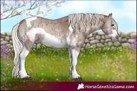 Horse Color:Silver Bay Ice Onyx Sabino Tobiano Frame Rabicano 