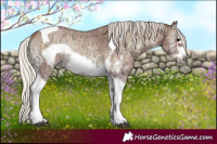 Horse Color:Silver Bay Ice Onyx Sabino Tobiano Frame Rabicano 