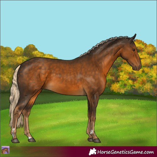 Horse Color:Chocolate Palomino