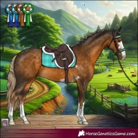 Horse Color:Chocolate Palomino 
