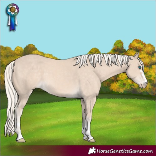 Horse Color:Cremello 