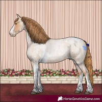 Horse Color:Red Roan Pearl Tobiano Frame 