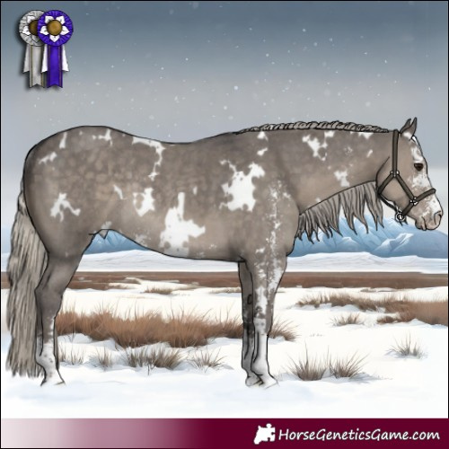 Horse Color:White Spotted Silver Smoky Grullo Sabino Rabicano 