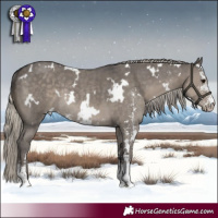 Horse Color:White Spotted Silver Smoky Grullo Sabino Rabicano