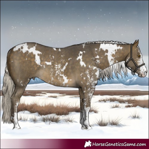 Horse Color:White Spotted Silver Buckskin Sabino Rabicano 