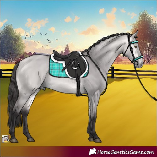 Horse Color:Platinum Buckskin Dun 