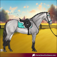 Horse Color:Platinum Buckskin Dun 