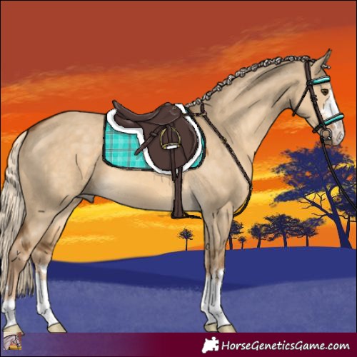 Horse Color:Chocolate Palomino Dun 