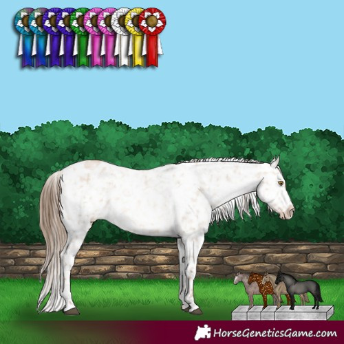 Horse Color:White Spotted Liver Red Dun Pearl Snowflake Varnish 