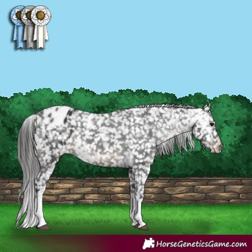 Horse Color:White Spotted Black Tobiano Appaloosa Rabicano 