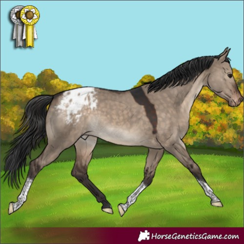 Horse Color:Brown Dun Tobiano Appaloosa Rabicano 