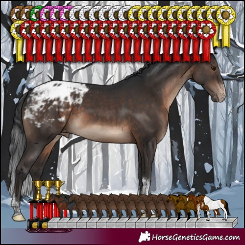 Horse Color:Brown Sabino Tobiano Varnish Rabicano