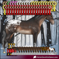 Horse Color:Brown Sabino Tobiano Varnish Rabicano 