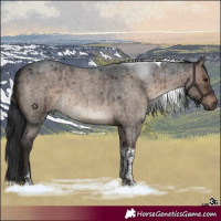 Horse Color:Brown Roan Dun Tobiano Brindle 