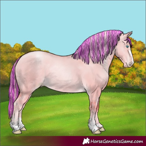 Horse Color:Painted Palomino Pearl Dun Sabino 