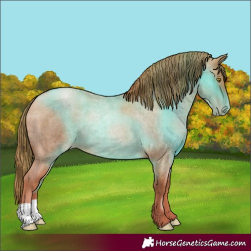 Horse Color:Red Roan Pearl 
