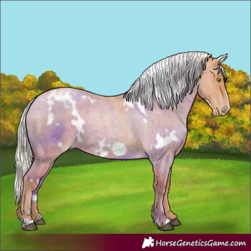 Horse Color:White Spotted Silver Bay Roan Pearl Frame 