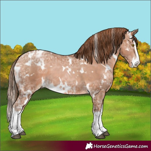 Horse Color:White Spotted Brown Ice Pearl Splash 