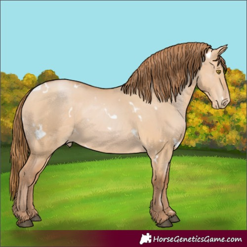 Horse Color:White Spotted Bay Pearl Dun 
