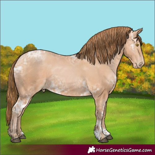 Horse Color:Bay Ice Pearl Sabino 