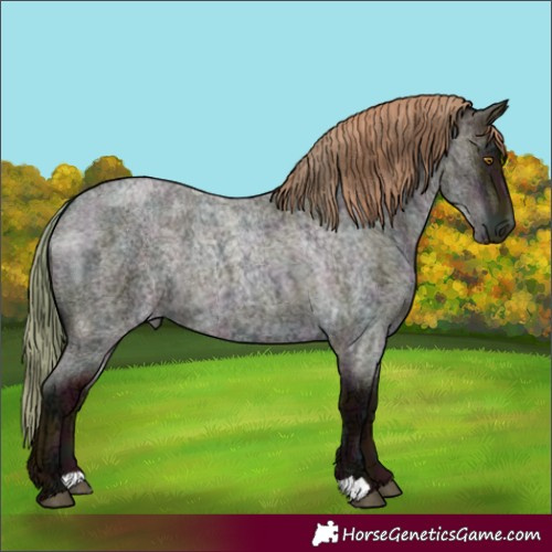 Horse Color:Midnight Blue Ice Roan Pearl 