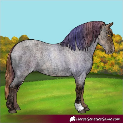 Horse Color:Bay Ice Roan Pearl 
