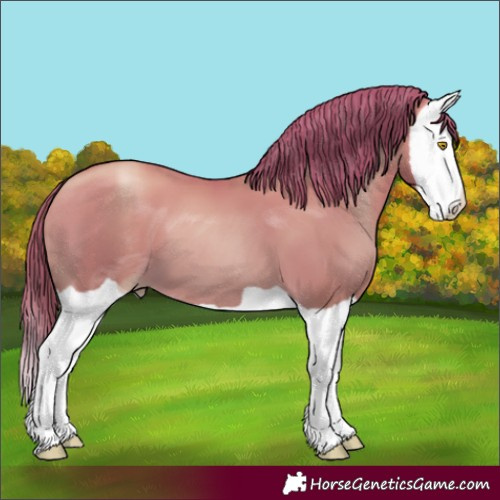 Horse Color:Bay Pearl Splash 