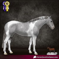 Horse Color:Smoky Black Tobiano Appaloosa 