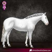 Horse Color:Liver Chestnut Sabino Varnish 