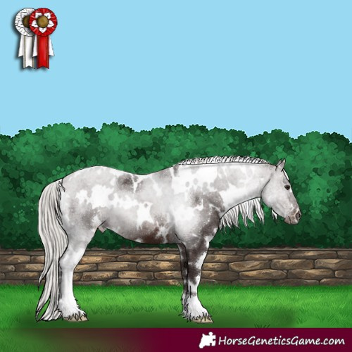 Horse Color:White Spotted Silver Brown 