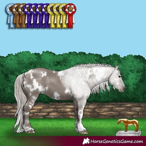 Horse Color:White Spotted Silver Grullo 