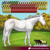 Horse Color:Silver Smoky Creme Tobiano Frame Appaloosa Rabicano 