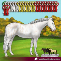 Horse Color:Silver Smoky Creme Tobiano Frame Appaloosa Rabicano 