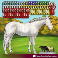 Horse Color:Silver Smoky Creme Tobiano Frame Blanket Rabicano 