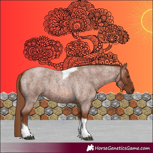 Horse Color:Unknown 