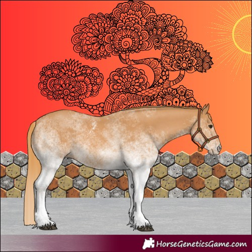 Horse Color:White Spotted Chestnut 