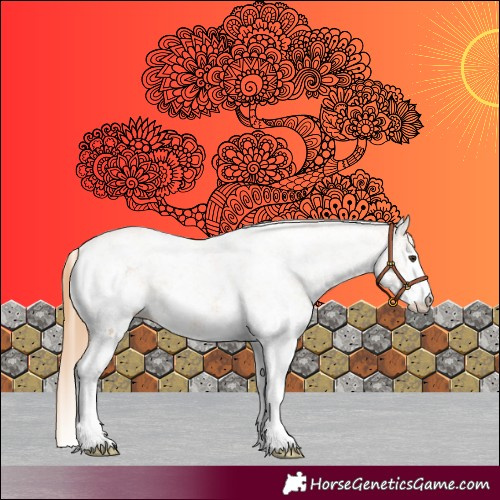 Horse Color:White Spotted Chestnut