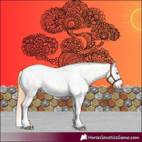 Horse Color:White Spotted Chestnut 