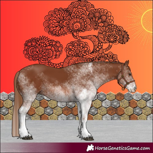 Horse Color:White Spotted Chestnut 